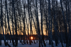 Image-preview_300x200
