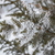 Image-square_50