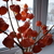 Image-square_50