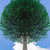 Image-square_50