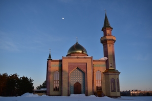 Image-preview_300x200