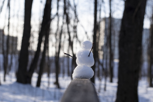 Image-preview_300x200