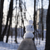 Image-square_50