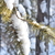 Image-square_50