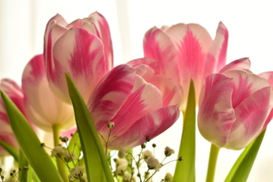 Image-preview_300x200