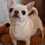 Image-square_50