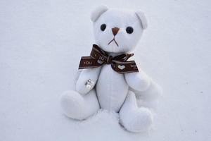 Image-preview_300x200