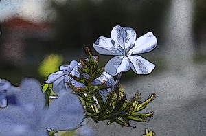 Image-preview_300x200