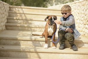 Image-preview_300x200