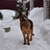 Image-square_50