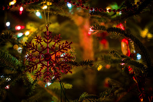 Image-preview_300x200