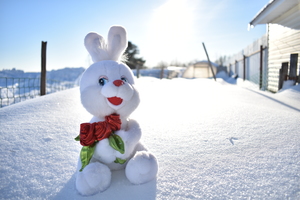 Image-preview_300x200