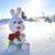 Image-square_50