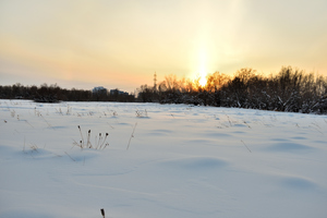 Image-preview_300x200