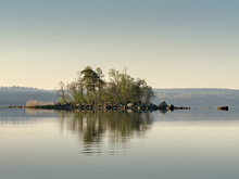 Image-rectangle_220_165