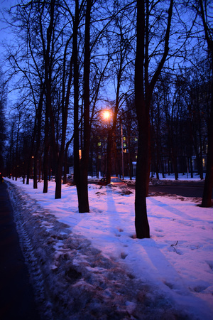 Image-preview_300x200