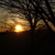 Image-square_50