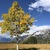 Image-square_50