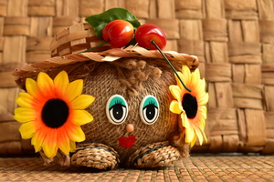 Image-preview_300x200