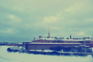 Image-preview_300x200