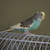 Image-square_50