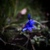 Image-square_50