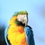 Image-square_50