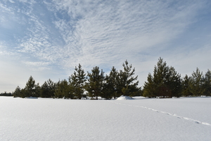 Image-preview_300x200