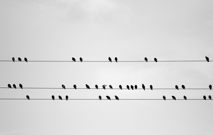 Image-normal