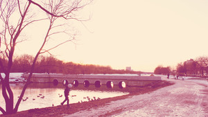 Image-preview_300x200