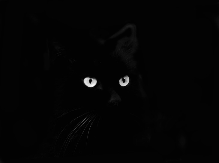 Image-normal
