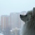 Image-square_50