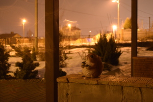 Image-preview_300x200