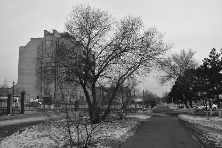 Image-normal