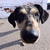 Image-square_50