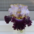 Image-square_50