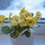 Image-square_50