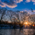 Image-square_50