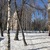 Image-square_50