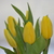 Image-square_50