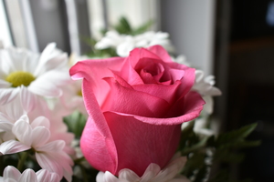 Image-preview_300x200