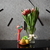 Image-square_50