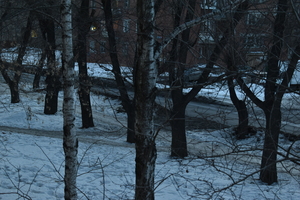 Image-preview_300x200