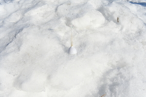 Image-preview_300x200