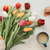 Image-square_50