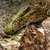 Image-square_50