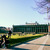 Image-square_50