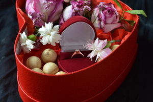 Image-preview_300x200
