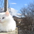 Image-square_50
