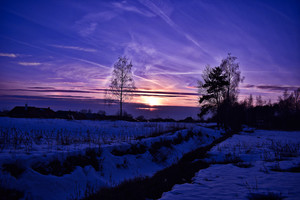 Image-preview_300x200